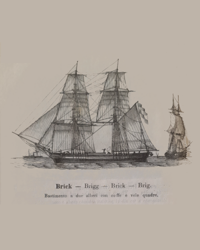Ship Type Image